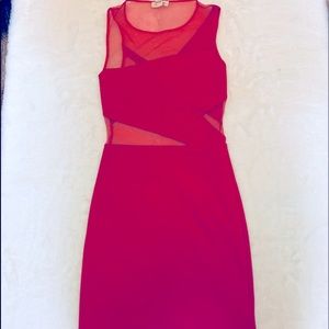 Silence + Noise Pink Dress. OU